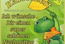 Sonntag Nachmittag Lustige Bilder