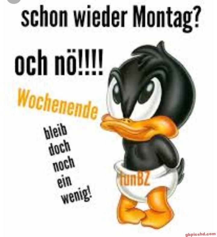 Ein trauriges schwarzes Cartoon-Entchen, das den Montag bedauert und sich mehr Wochenende wünscht.