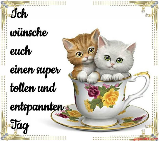 Zwei niedliche Katzen in einer Blumentasse mit einem Gruß für einen schönen entspannten Tag.