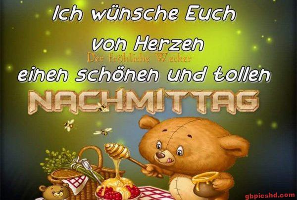 Niedlicher Bär bei Picknick mit Honig, grüne Stimmung, Wunsch für einen schönen Nachmittag.