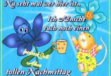 Tollen Nachmittag Bilder
