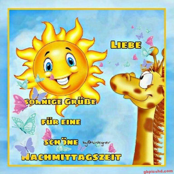 Fröhliche Sonne und Giraffe mit Schmetterlingen, sonnige Grüße für den Nachmittag.