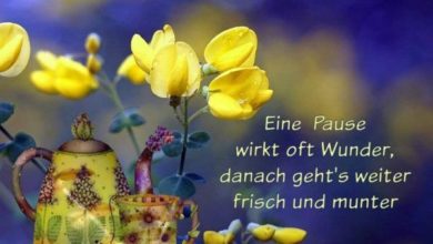 Whatsapp Bilder Nachmittag