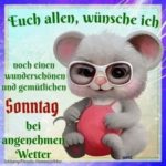 Whatsapp Bilder Sonntag Nachmittag