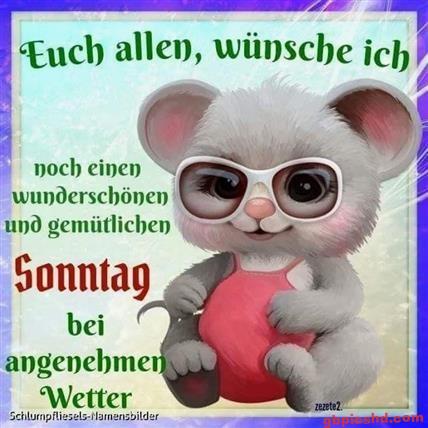 Niedliches Kuscheltier mit Sonnenbrille wünscht einen schönen Sonntag bei gutem Wetter