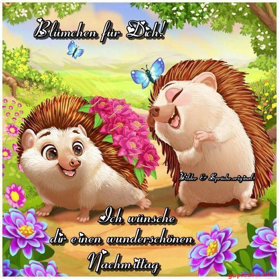 Zwei fröhliche Igel in bunter Frühlingslandschaft mit Blumen und Schmetterlingen, Nachmittaggruß.
