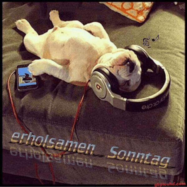 Entspannter Hund hört Musik auf einem Sofa und wünscht einen erholsamen Sonntag.