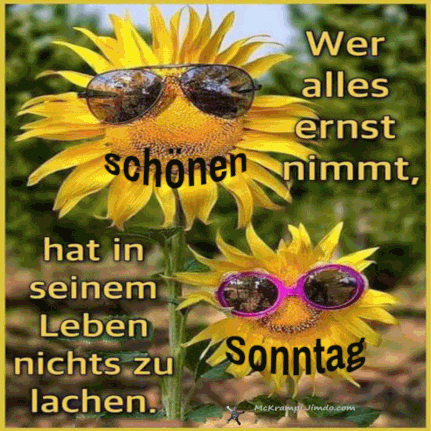 Zwei Sonnenblumen mit Sonnenbrillen, die guten Sonntag wünschen.