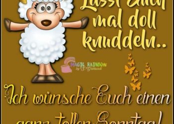 Whatsapp Bilder Sonntag Nachmittag