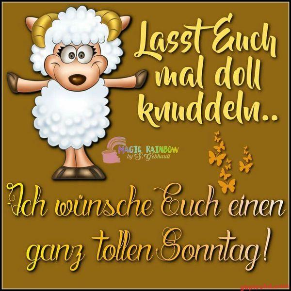 Whatsapp Bilder Sonntag Nachmittag