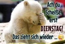 ᐅ bilder dienstag lustig - GB Pics