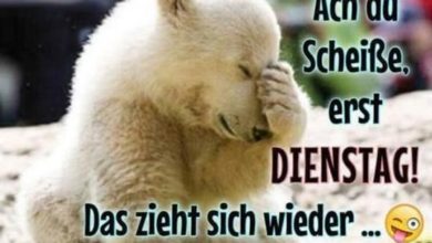ᐅ bilder dienstag lustig - Dienstag GB Pics