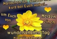 ᐅ bilder guten morgen dienstag - GB Pics