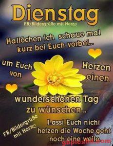 Bilder zum Guten Morgen am Dienstag
