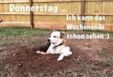 ᐅ donnerstag abend lustige bilder - Feste / Anlässe GB Pics