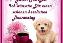 ᐅ donnerstag guten morgen bilder - Montag GB Pics
