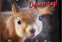 ᐅ donnerstag lustige bilder - Nachmittag GB Pics