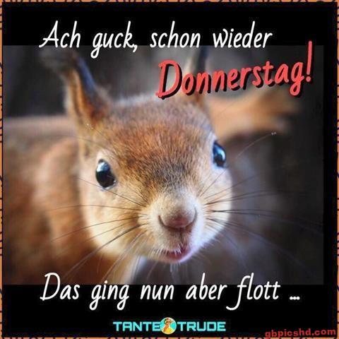 donnerstag lustige bilder