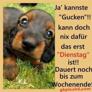Erst Dienstag Bilder – Wenn die Woche noch lang ist
