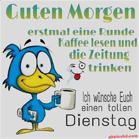 guten morgen dienstag bilder lustig