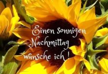 ᐅ guten nachmittag bilder - Wochenende Bilder GB Pics