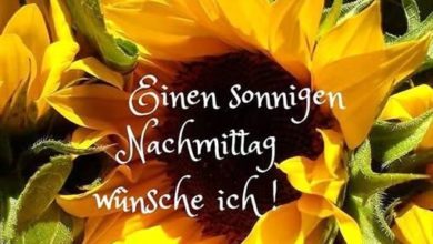 ᐅ guten nachmittag bilder - Nachmittag GB Pics
