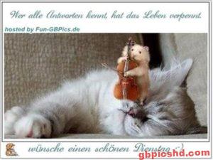 Kostenlose Bilder und liebevolle Grüße zum Dienstag