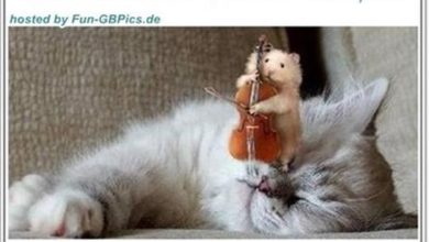 ᐅ kostenlose bilder dienstag - Dienstag GB Pics