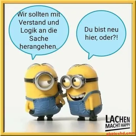 Zwei Minions unterhalten sich in Sprechblasen über Logik und Neuankömmlinge.
