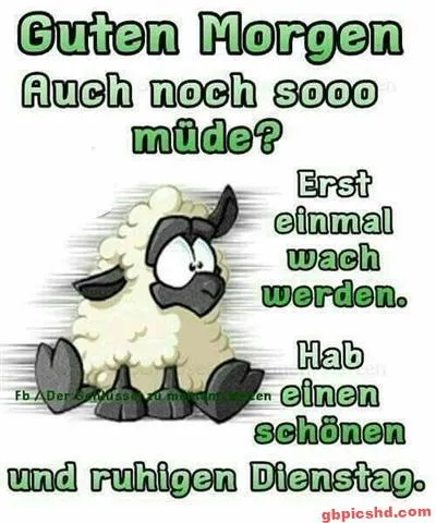 Ein müdes Schaf mit Sprechblasen für guten Morgen und einen ruhigen Dienstag.