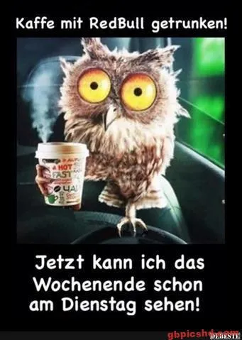 Eine Eule hält einen Kaffee Becher und spricht über das Wochenende am Dienstag.
