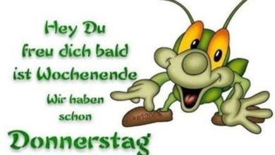 ᐅ lustige bilder donnerstag kostenlos - Donnerstag GB Pics
