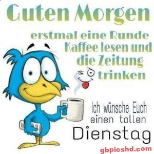 Lustige Bilder zum Guten Morgen am Dienstag