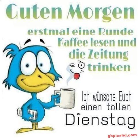 lustige bilder guten morgen dienstag