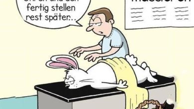 ᐅ lustige bilder spass am donnerstag - Donnerstag GB Pics