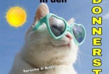 ᐅ lustige bilder zum donnerstag - Mittwoch GB Pics
