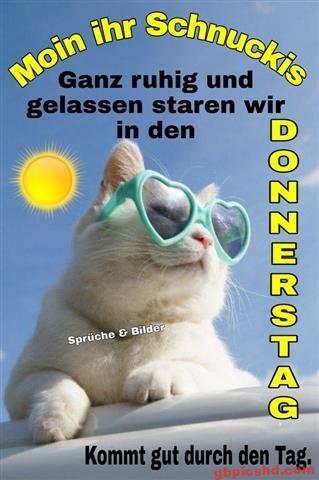 lustige bilder zum donnerstag