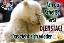 ᐅ witzige bilder dienstag - GB Pics