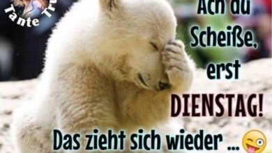 ᐅ witzige bilder dienstag - Dienstag GB Pics