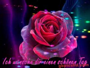 Bewegte Bilder Nachmittag