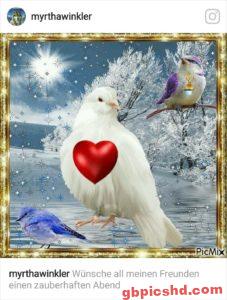 Bewegte Bilder Nachmittag