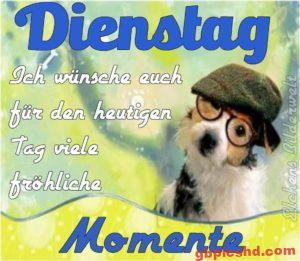 Bilder Dienstag Nachmittag