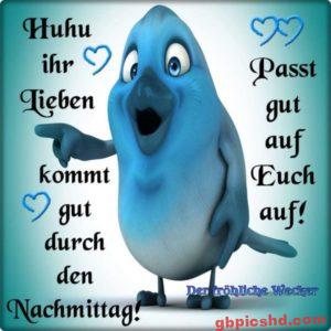 Bilder Dienstag Nachmittag