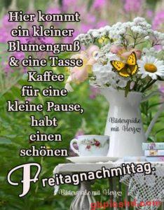 Bilder Freitag Nachmittag