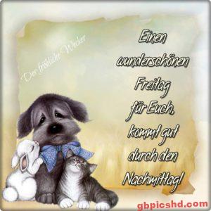 Bilder Freitag Nachmittag