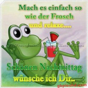 Bilder Montag Nachmittag