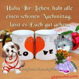 Bilder Montag Nachmittag