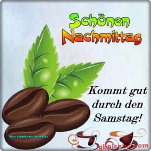 Bilder Samstag Nachmittag