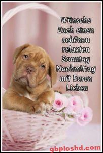 Bilder Sonntag Nachmittag