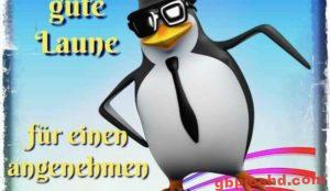 Bilder Zum Donnerstag Nachmittag